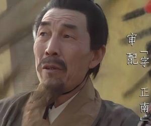 审配主战之因：忠诚、实力与战略的交织