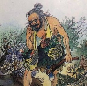 惊！神农亲尝百草的硬核智慧：从五谷到草药，他是如何做到精准辨别的？