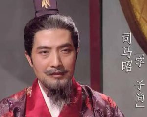 司马昭挥师灭汉，撬动天下格局的终极转折