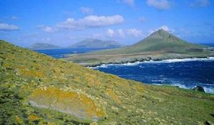 福克兰群岛海战德国失败的原因是什么？是武器不如对手吗