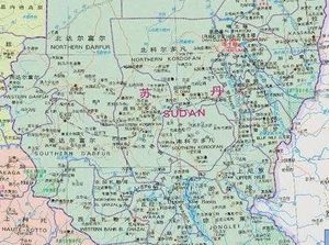 霍姆尔战役中双方实力如何？都投入了多少兵力