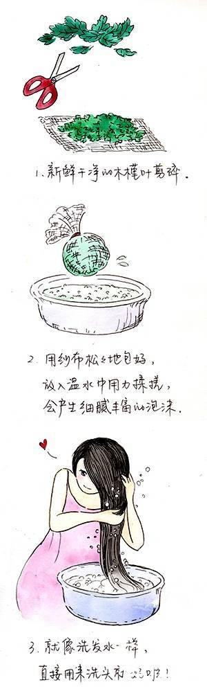 洗发历史图片