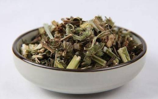 听说天坛种过益母草？为什么后来天坛上的益母草不见了？历史图片