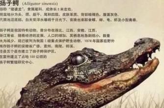 湖北的简称是什么？湖北的简称是怎么来的？历史图片