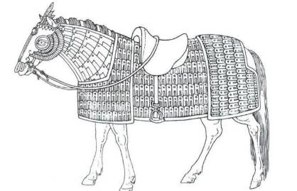 古代的战马有哪些品种？为什么古代战马大多矮如驴？历史图片