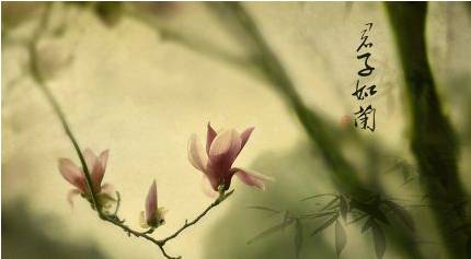 君子历史图片