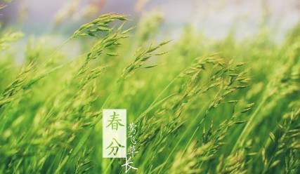 春分历史图片