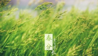 习俗历史图片