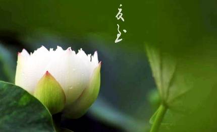 夏至历史图片