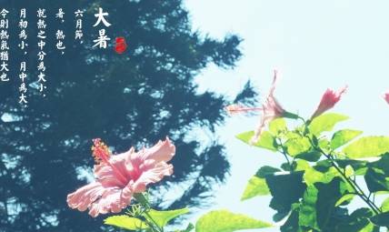 大暑历史图片