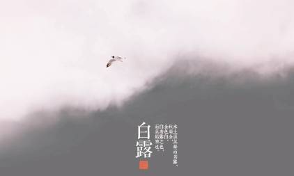 白露历史图片