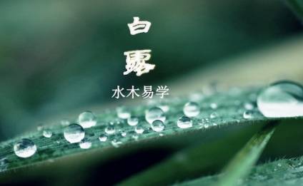 白露历史图片