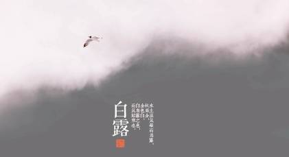 白露历史图片