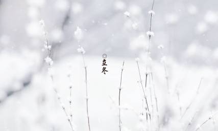 立冬历史图片