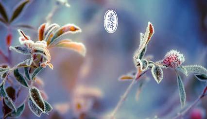霜降历史图片