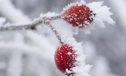 霜降历史图片
