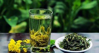 茶叶历史图片
