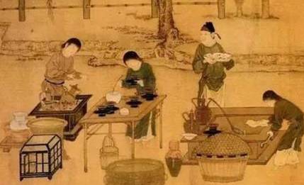 茶叶历史图片