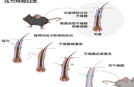 科学家历史图片