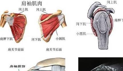 现代历史图片