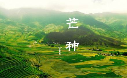 芒种历史图片