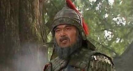 邓艾历史图片