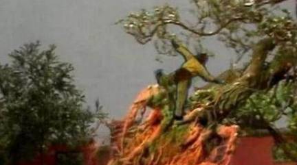 孙悟空历史图片