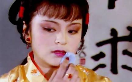 赵姨娘历史图片