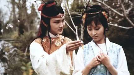 薛家婆子历史图片