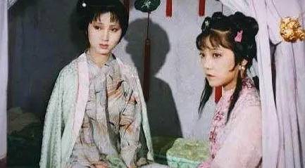 紫鹃历史图片