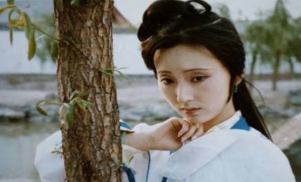 王夫人历史图片