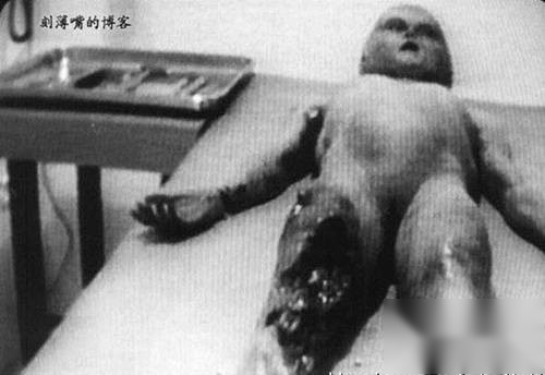 神秘生物历史图片