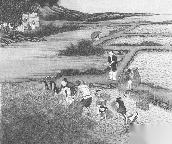 朱元璋历史图片