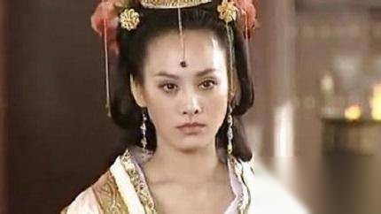 华阳夫人历史图片