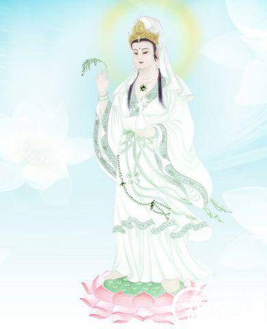 观音菩萨道场历史图片