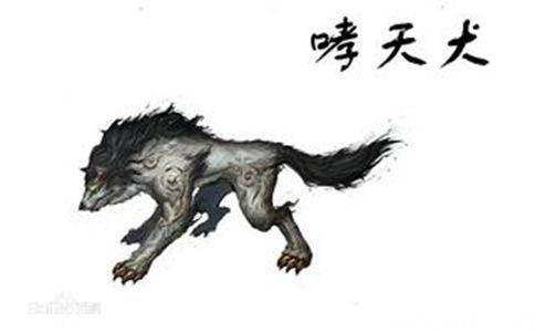 悟空大战二郎神历史图片