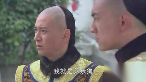 雍正历史图片