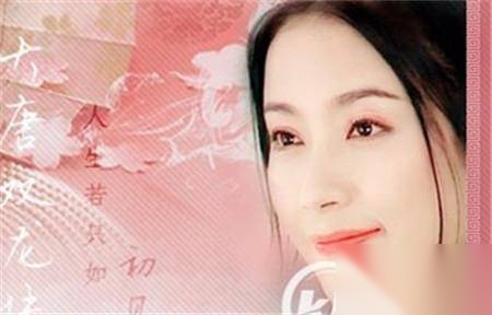 平阳昭公主历史图片