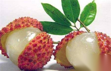 解密唐朝的荔枝道历史图片