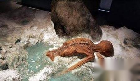 死法历史图片