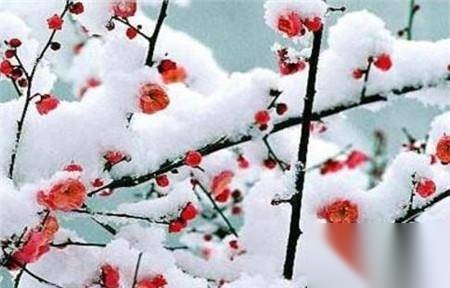 汉武帝曾设置“冬至节”历史图片