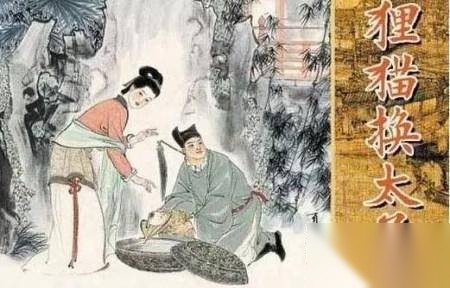 狸猫换太子历史图片