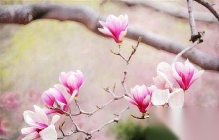 古代立春历史图片