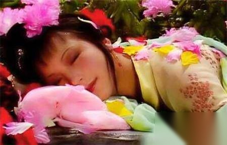 史湘云醉卧芍药历史图片