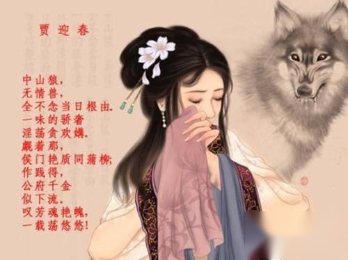 红楼梦历史图片