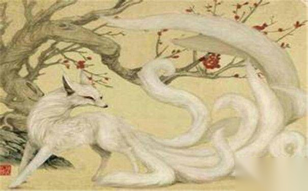 大禹和九尾狐的关系历史图片