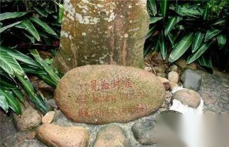 打仗历史图片