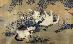 历史上杨贵妃养猫吗?《妖猫传》是不是真的?历史图片