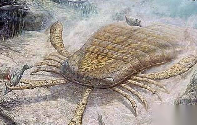 盘点十大鲜为人知的远古超级生物历史图片