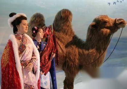 王昭君历史图片